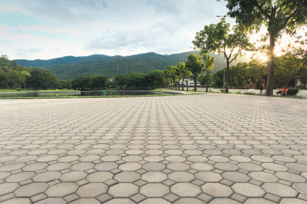 Best Decorative Driveway Pavers  in Reidsville, GA